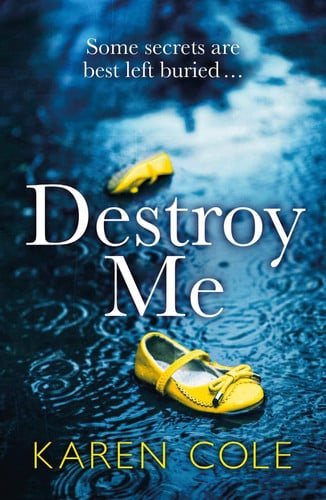 Cover of Destroy Me