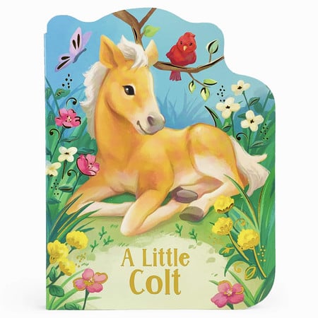 Cover of A Little Colt