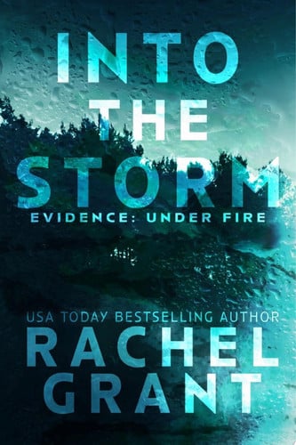 Cover of Into the Storm