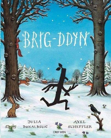 Cover of Brig-ddyn