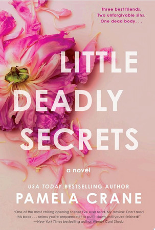 Cover of Little Deadly Secrets: A Novel