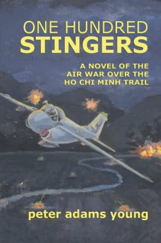 Cover of One Hundred Stingers: A Novel of the Air War Over the Ho Chi Minh Trail