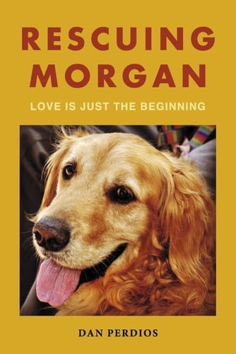 Cover of Rescuing Morgan Love Is Just the Beginning