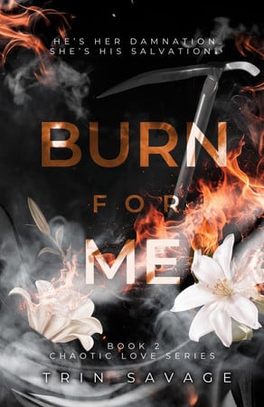 Cover of Burn For Me
