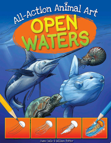 Cover of Open Waters