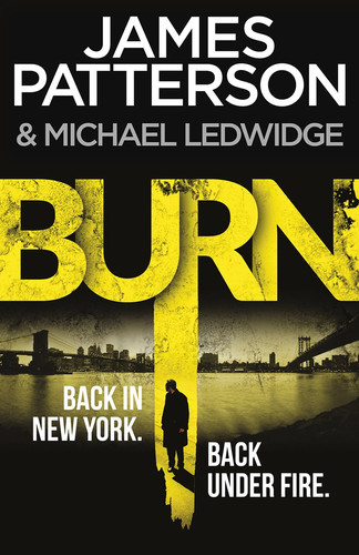 Cover of Burn