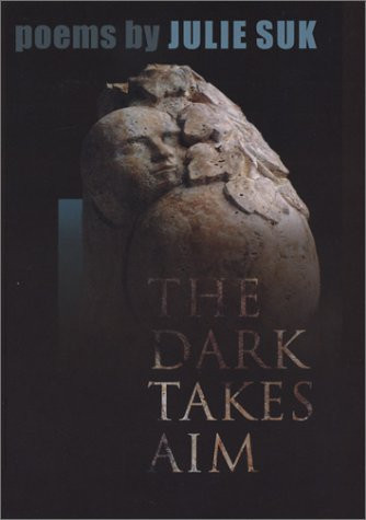 Cover of The Dark Takes Aim