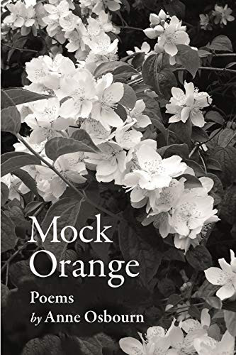 Cover of Mock Orange