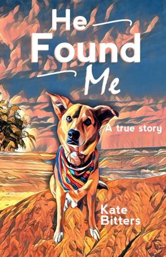 Cover of He Found Me