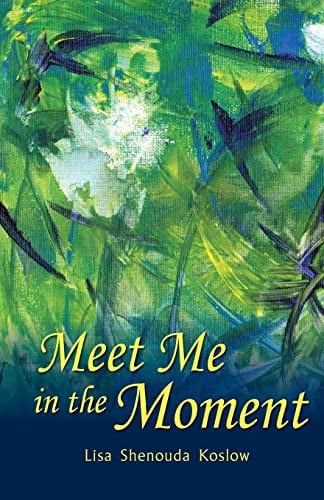 Cover of Meet Me in the Moment