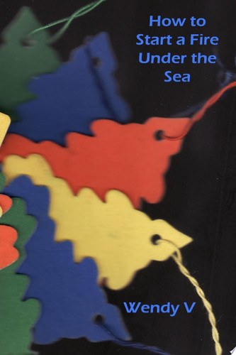 Cover of How to Start a Fire Under the Sea