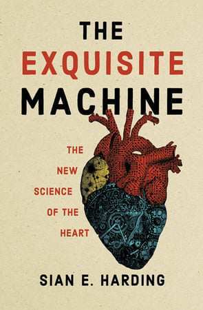 Cover of The Exquisite Machine