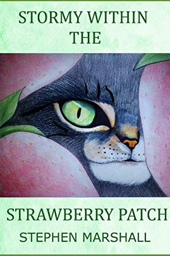Cover of Stormy Within the Strawberry Patch