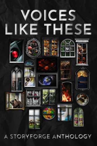 Cover of Voices Like These