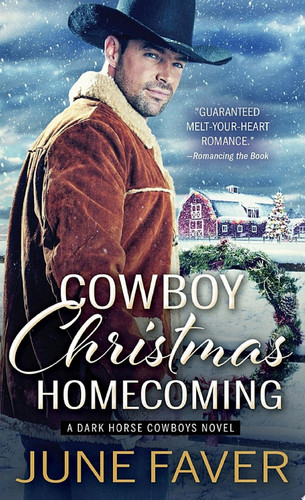 Cover of Cowboy Christmas Homecoming