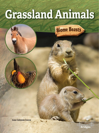 Cover of Grassland Animals