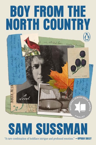 Cover of Boy From the North Country: A Novel