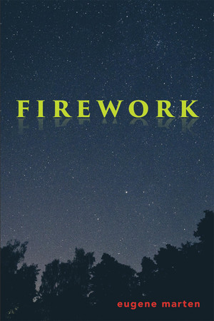 Cover of Firework