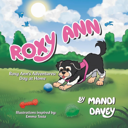 Cover of Roxy Ann