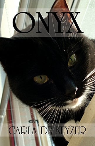 Cover of Onyx