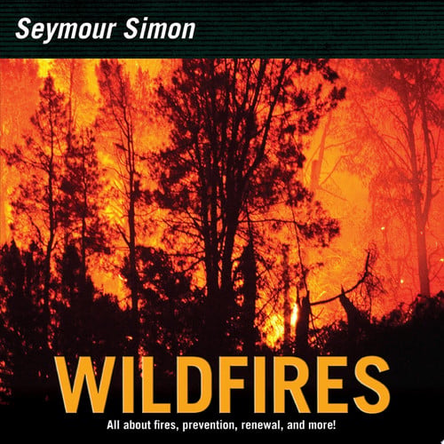 Cover of Wildfires