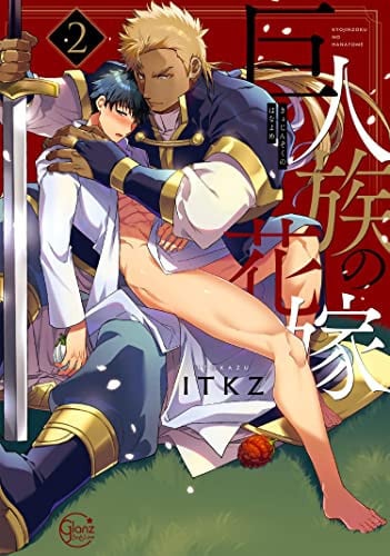 Cover of The Titan's Bride