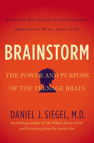 Cover of Brainstorm