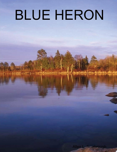 Cover of Blue Heron