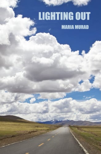 Cover of Lighting Out