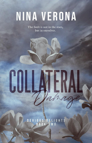 Cover of Collateral Damage