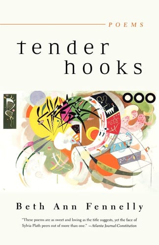 Cover of Tender Hooks: Poems