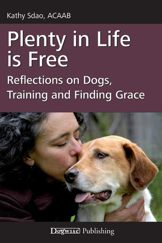 Cover of Plenty in Life Is Free