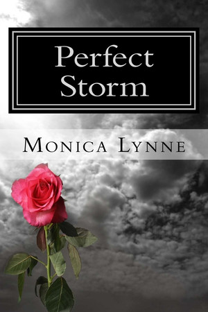 Cover of Perfect Storm