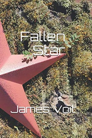 Cover of Fallen Star