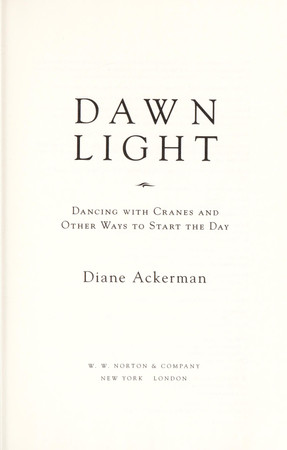 Cover of Dawn Light