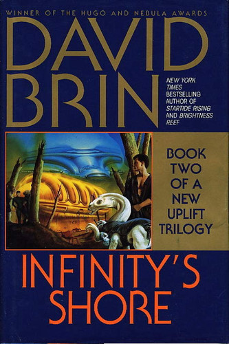 Cover of Infinity's Shore