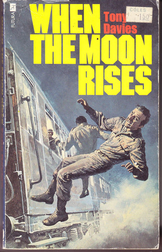 Cover of When the Moon Rises