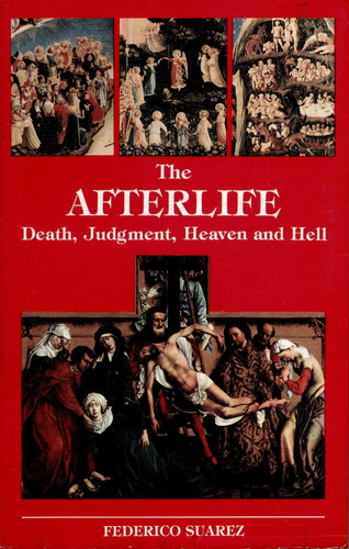 Cover of The Afterlife