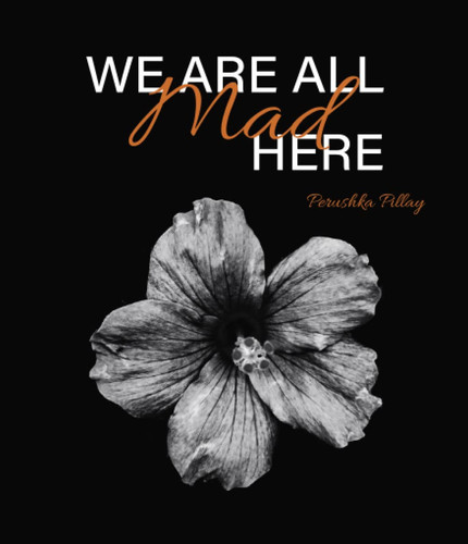 Cover of We Are All Mad Here