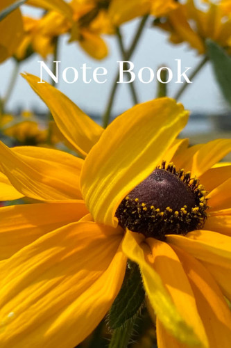 Cover of Notebooks in Bloom: Yellow Daisy Flower Journal Flower Diary | Gift for Her