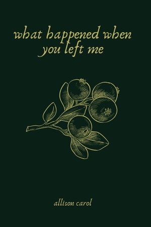 Cover of What Happened When You Left Me: A Guide To Healing Your Heart.