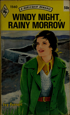 Cover of Windy Night, Rainy Morrow