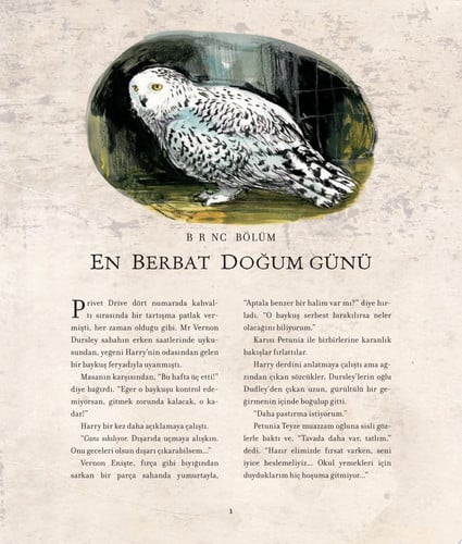 Cover of Harry Potter Ve Sırlar Odası – 2