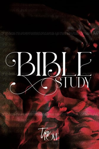 Cover of Bible Study