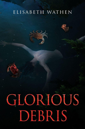Cover of Glorious Debris