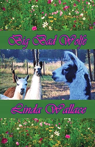 Cover of Big Bad Wolfe