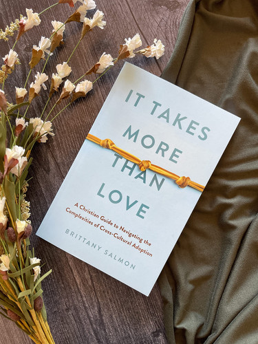 Cover of It Takes More Than Love: A Christian Guide to Navigating the Complexities of Cross-cultural Adoption