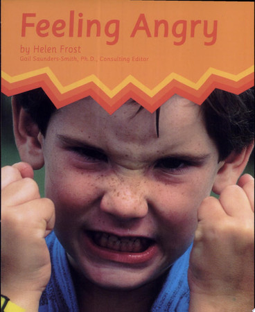 Cover of Feeling Angry
