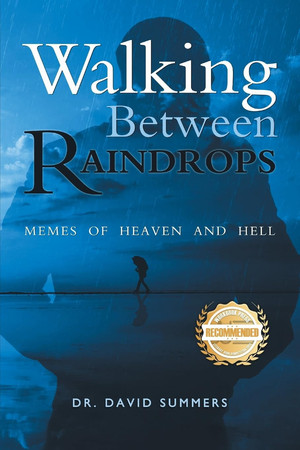 Cover of Walking Between Raindrops