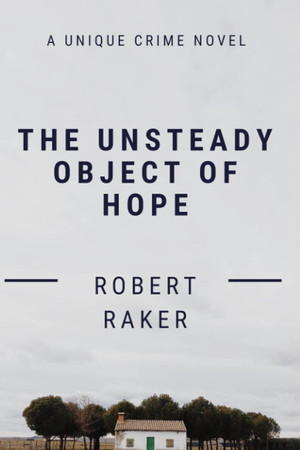 Cover of The Unsteady Object of Hope